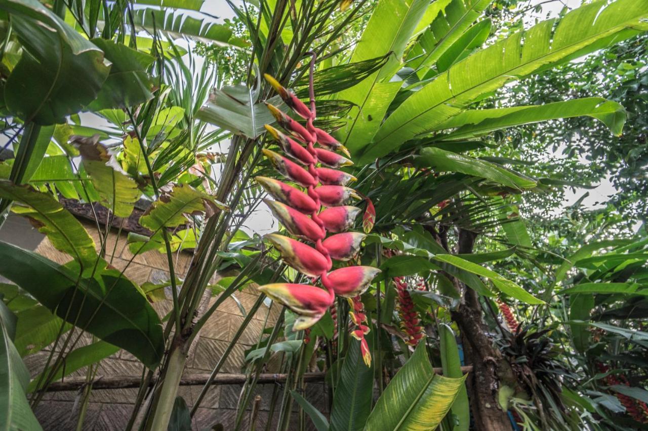 Tegar Guest House Ubud المظهر الخارجي الصورة